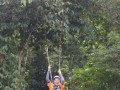 Tn DSC 4286